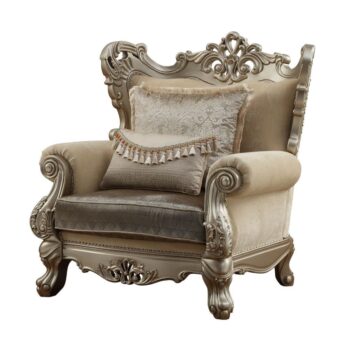 Fabric & Champagne Finish Ranita Chair W/2 Pillows 51042 by ACME