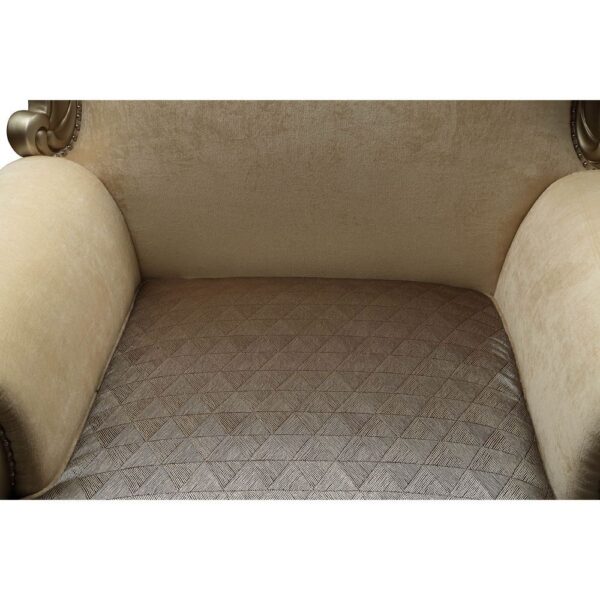 Fabric & Champagne Finish Ranita Chair W/2 Pillows 51042 by ACME - Image 2