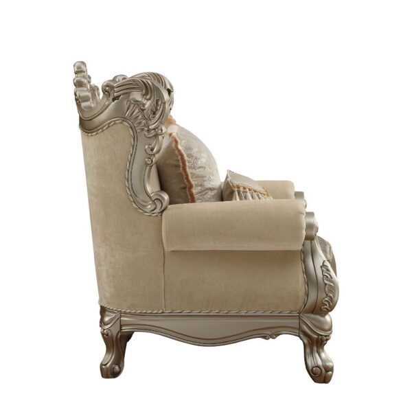 Fabric & Champagne Finish Ranita Chair W/2 Pillows 51042 by ACME - Image 4