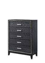 Black Haiden Chest 28436 by ACME Bedroom Chest of Drawers Mobilia Cleopatra 11 Black Haiden Chest 28436 by ACME 11