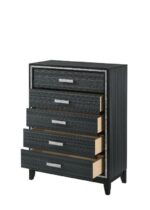 Black Haiden Chest 28436 by ACME Bedroom Chest of Drawers Mobilia Cleopatra 12 Black Haiden Chest 28436 by ACME 12