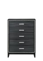 Black Haiden Chest 28436 by ACME Bedroom Chest of Drawers Mobilia Cleopatra 13 Black Haiden Chest 28436 by ACME 13