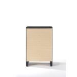 Ireland Chest 04166 by ACME 17