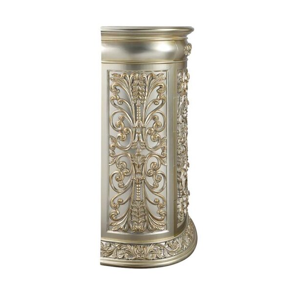 Antique Gold Finish Sorina Chest BD01245 by ACME - Image 3