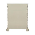 Antique Gold Finish Sorina Chest BD01245 by ACME 16
