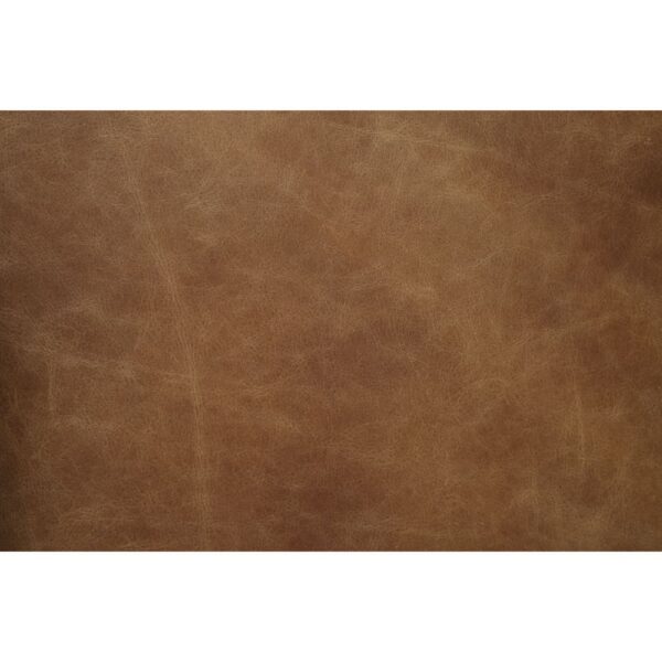 Calan Brown Leather Office Chair by ACME - Image 5