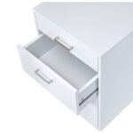 White& Chrome Coleen File Cabinet by ACME Accent Furniture Mobilia Cleopatra 15 White& Chrome Coleen File Cabinet by ACME 15