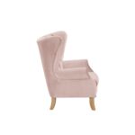 Blush Pink Velvet Adonis Accent Chair 59516 by ACME 15
