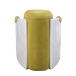 Yellow Leather Brancaster Accent Chair 59624 by ACME Accent Chairs Mobilia Cleopatra 15 Yellow Leather Brancaster Accent Chair 59624 by ACME 15