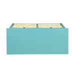 Teal Flavius Console Cabinet 97418 by ACME 19