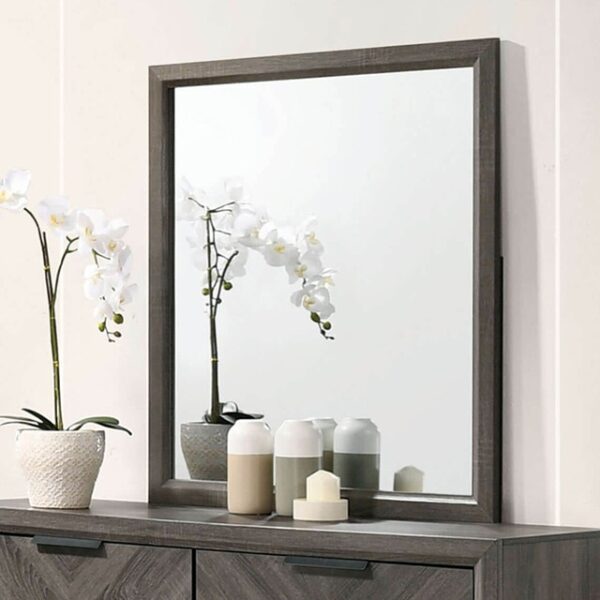 Gray Vagan Mirror CM7472GY-M By Furniture of America 5