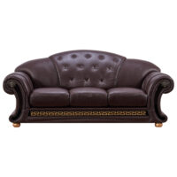 Aplolo-in-Brown_sofa