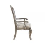 Velvet Ariadne Arm Chair DN02283 By ACME 15