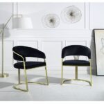 Black Velvet Fallon Side Chair DN01954 By ACME 15