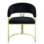 Black Velvet Fallon Side Chair DN01954 By ACME 17