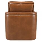 Brown Leather Aire Rocha Accent Chair AC01886 By ACME 14