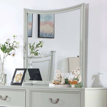 Lycorida Mirror CM7477GY-M By Furniture Of America