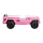 Pink Randler Youth Bed FOA7724PK By Furniture Of America 26