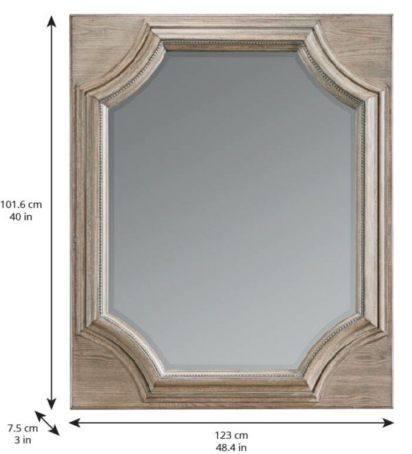 Arch Salvage-Searles Brown Mirror-Parch By Art Furniture 7