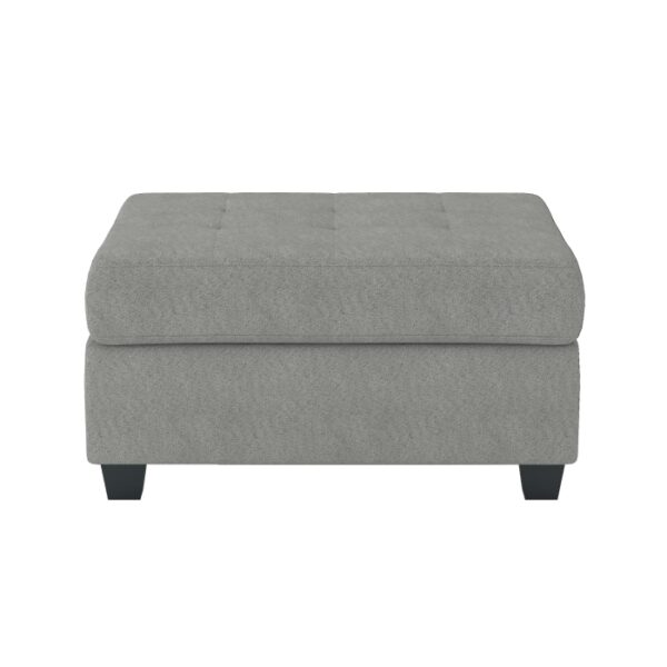 Gray Maston Collection Ottoman/Storage By Homelegance 6