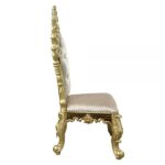 Hand-Painted Brown Desiderius Side Chair DN60001 By ACME 19