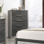 Gray Casimiro Chest BD02726 By ACME Bedroom Chest of Drawers Mobilia Cleopatra 9 Gray Casimiro Chest BD02726 By ACME 9