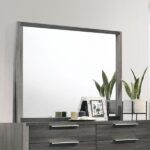 Gray Casimiro Mirror BD02724 By ACME Luxury Bedroom Dressers & Mirrors Mobilia Cleopatra 7 Gray Casimiro Mirror BD02724 By ACME 7