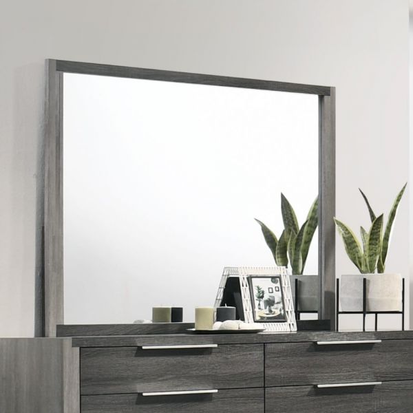 Gray Casimiro Mirror BD02724 By ACME