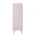 Pink High Gloss Finish Gaines Chest BD02666 By ACME Bedroom Chest of Drawers Mobilia Cleopatra 19 Pink High Gloss Finish Gaines Chest BD02666 By ACME 19