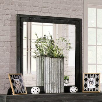 OAKRIDGE MIRROR EM7074DG-M By Furniture of America.