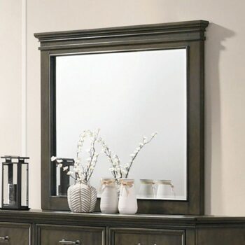 HOUSTON MIRROR CM7221GY-M By Furniture of America.