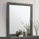 ALISON MIRROR CM7416GY-M By Furniture of America. 7