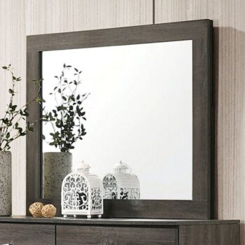 RICHTERSWIL MIRROR CM7415M By Furniture of America.