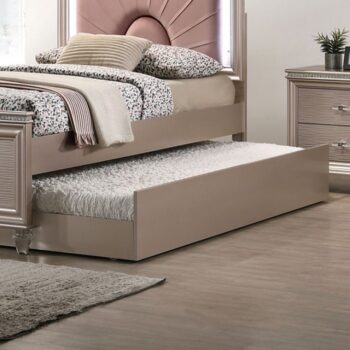 ALLIE TRUNDLE  CM7901RG-TR  BY Furniture of America.