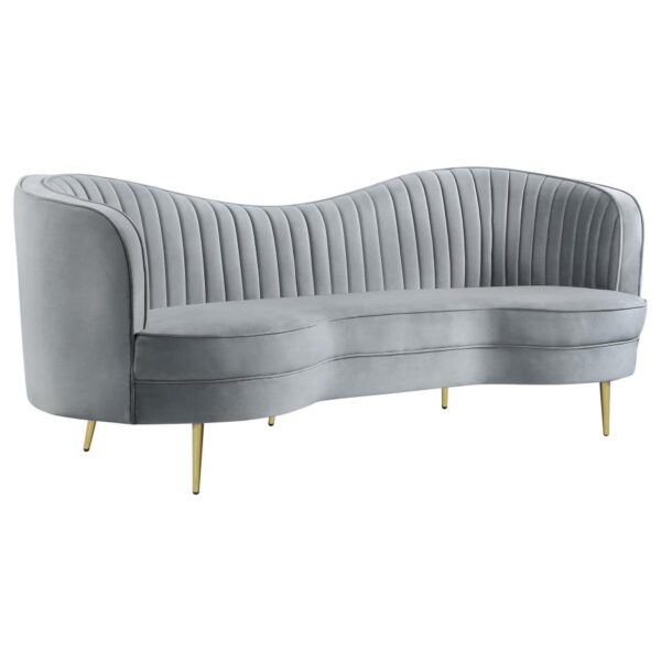 Sophia Upholstered Sofa With Camel Back Grey And Gold 506864 By Coaster Furniture | Mobilia Cleopatra Sophia Upholstered Sofa with Camel Back Grey and Gold 506864 by Coaster Furniture