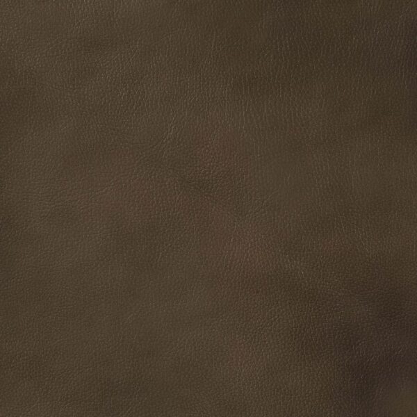 Leaton upholstered recessed arms sofa brown sugar 509441 by coaster furniture 21