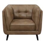 Thatcher Upholstered Button Tufted Chair Brown 509423 by Coaster Furniture Accent Chairs Mobilia Cleopatra 10 Thatcher Upholstered Button Tufted Chair Brown 509423 by Coaster Furniture 10