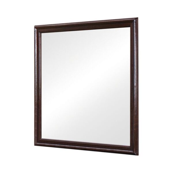 Louis Philippe Square Mirror Cappuccino 202414 by Coaster Furniture. 7