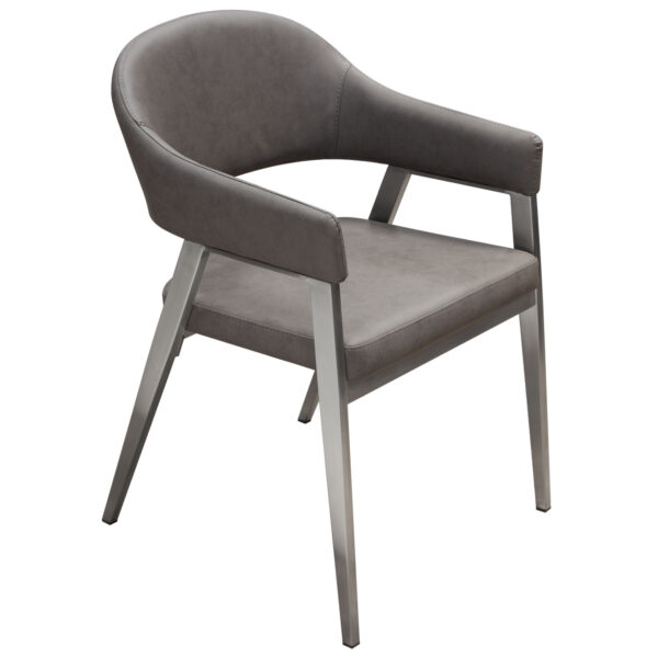 Gray Brushed Stainless Steel Adele Dining Chair By Diamond Sofa 10