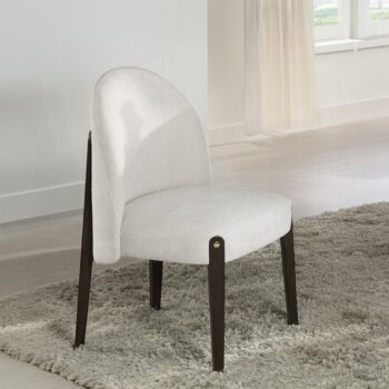 Clayten Side Chair in Beige Chenille DN03942 By ACME