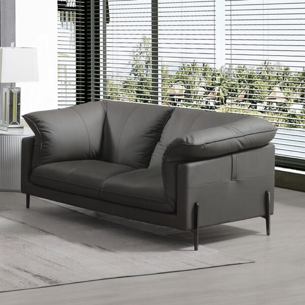 Tadi Loveseat in Black Leather LV04511 By ACME 9