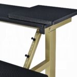 Saida Rectangular Music Desk in Black & Gold Finish OF02747 By ACME 19