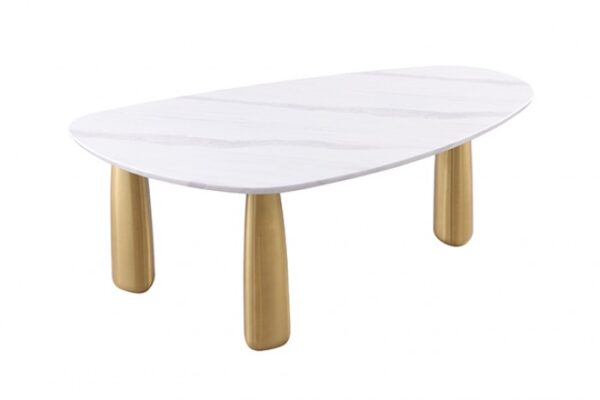 Northam White/Matte Gold Dining Table TABLE By Furniture Of America - Image 3