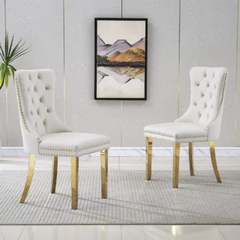 DCK88 Stainless Steel Dining Chair by Artisan Furniture