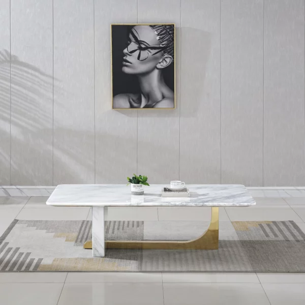 CT303 White Marble Coffee Table by Artisan Furniture 15