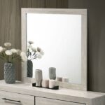 Dubuque Gray Mirror FM72003LG-M By Furniture Of America 9