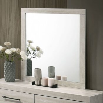 Dubuque Gray Mirror FM72003LG-M By Furniture Of America
