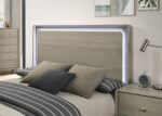 Rainier Gray Bed FM72002GY By Furniture Of America 16