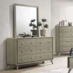 Rainier Gray Dresser FM72002GY-D By Furniture Of America 7