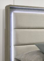 Rainier Gray Bed FM72002GY-U By Furniture Of America 17